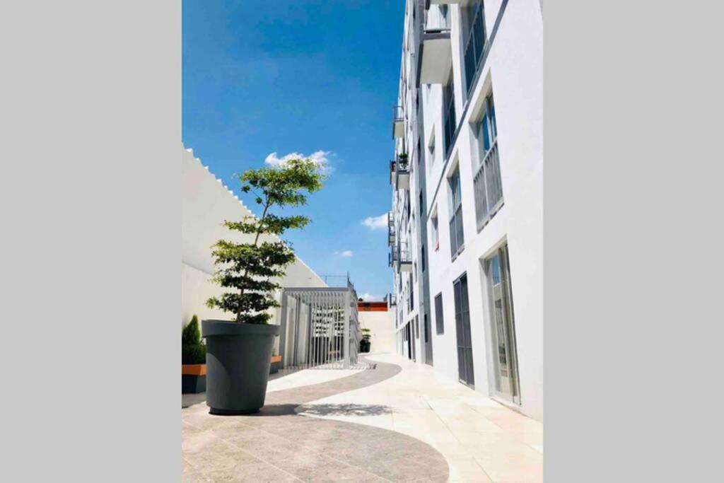 Departamento *Mundo Viajero* Guadalajara Apartman Kültér fotó